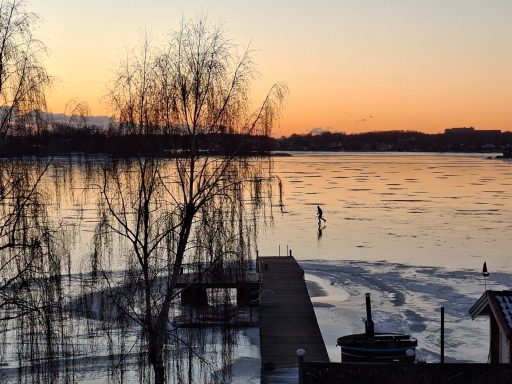 Långfärdsskridskor på isen